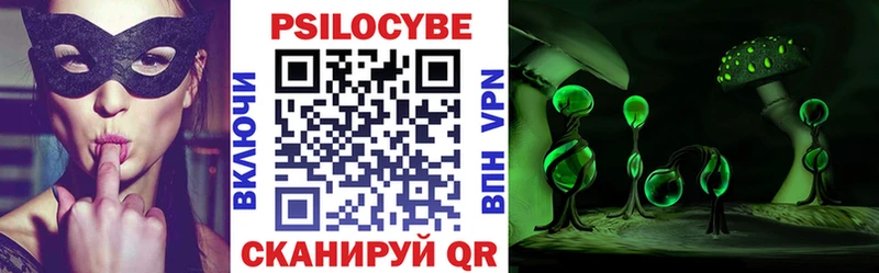 hydra ONION  Весьегонск  Галлюциногенные грибы прущие грибы  купить наркотики цена 