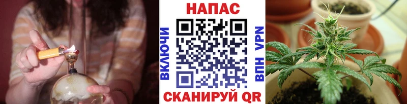 купить наркотики сайты Весьегонск Бошки марихуана THC 21%